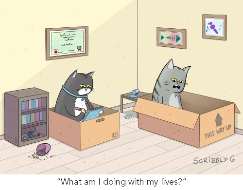 cartoon-stock-cat-therapy-cartoon-print