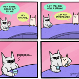 140-Buff-Cat
